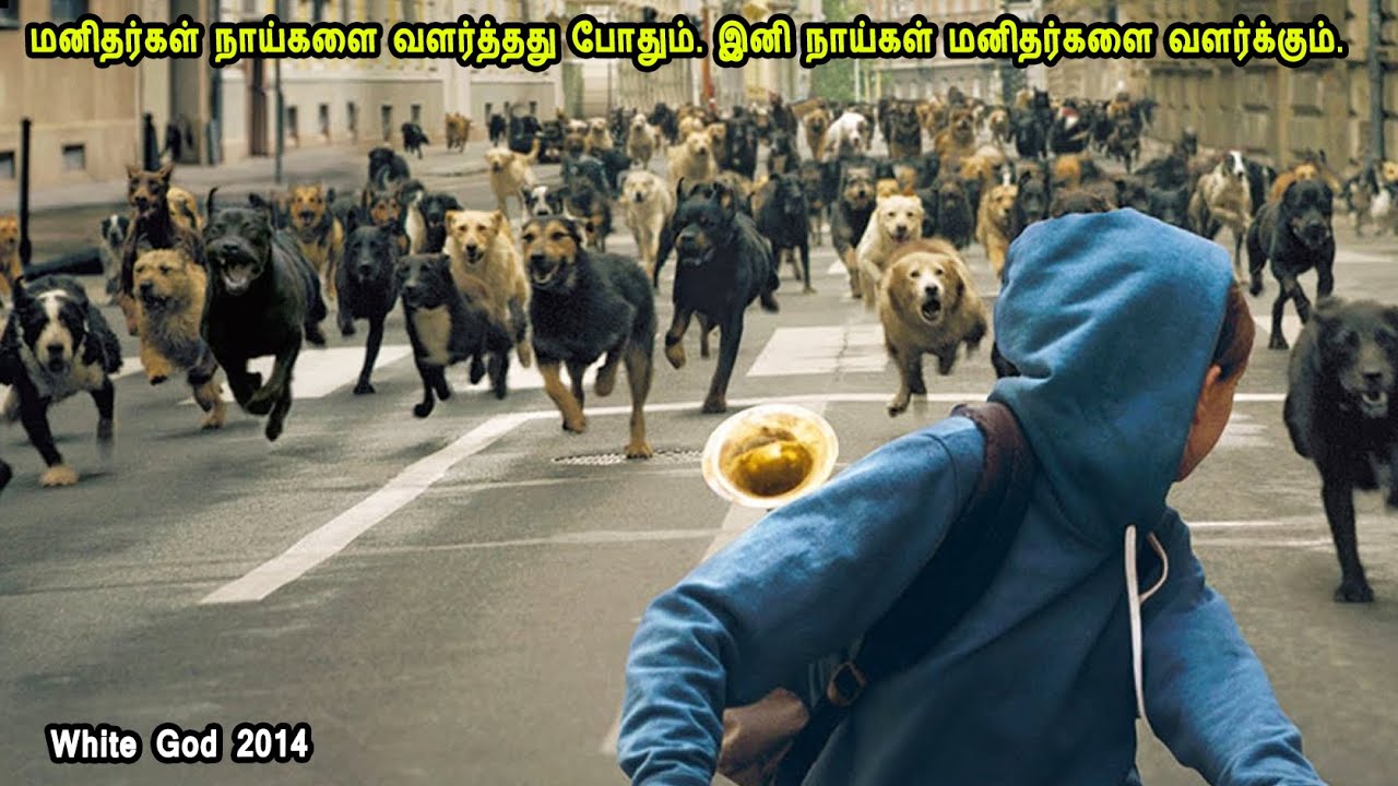 மனிதர்கள் நாய்களை வளர்த்தது போதும். இனி நாய்கள் மனிதர்களை வளர்க்கும். MR Tamilan Review in Tamil