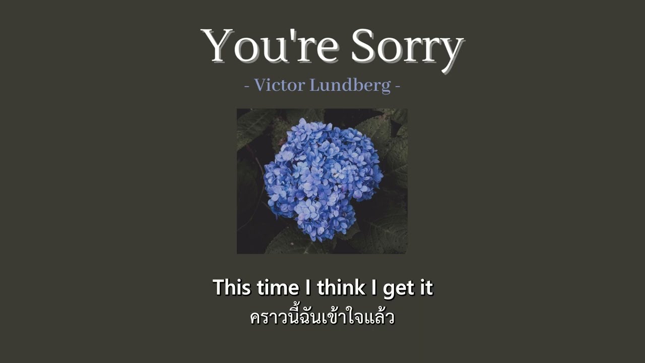 [Thaisub/Lyrics] You're Sorry - Victor Lundberg, Astyn Turr แปลเพลง