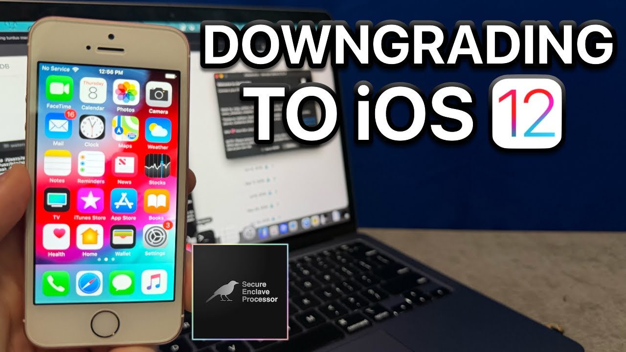 Downgrading iOS on the iPhone SE (turdus_merula)