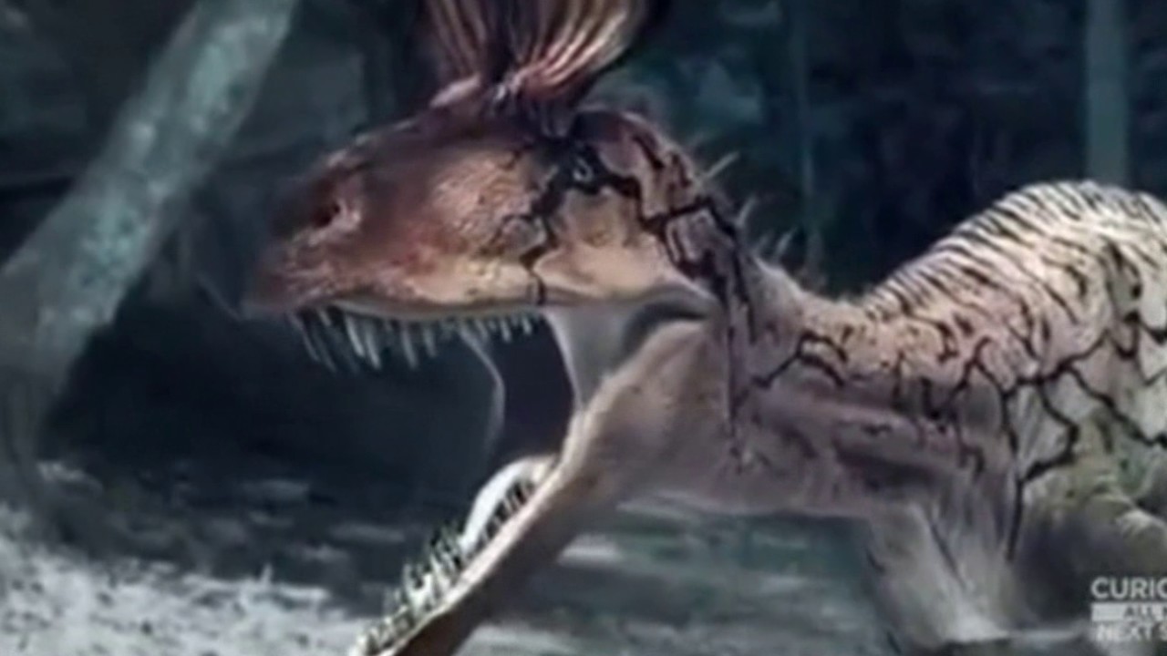 Cryolophosaurus Tribute - The Good Life