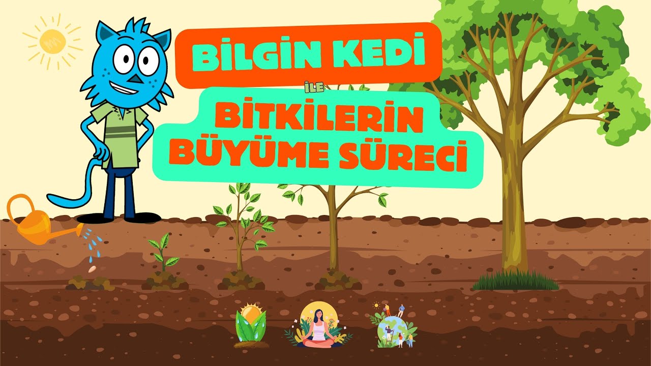 Bilgin Kedi İle Bitkilerin B&uuml;y&uuml;me S&uuml;reci  | &Ccedil;ocuklar İ&ccedil;in Eğitici Video