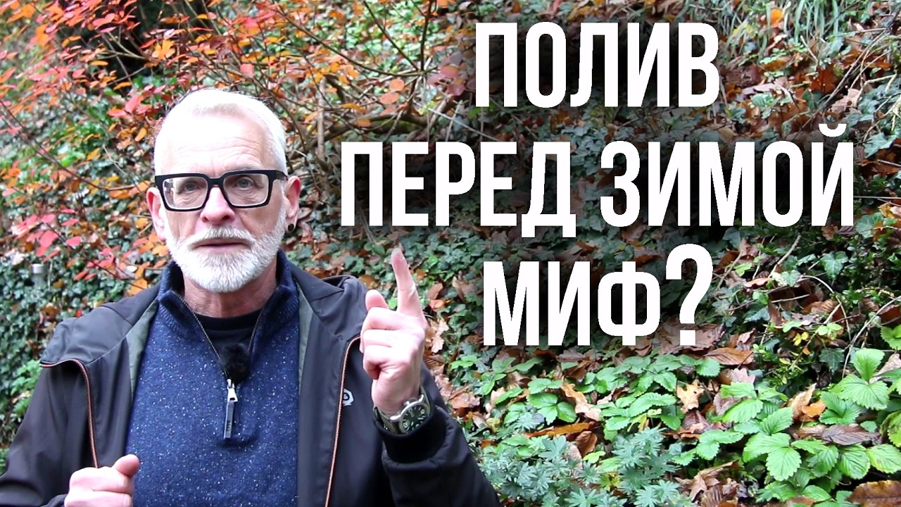 Полив перед зимой: необходимость или БЕСПОЛЕЗНЫЙ ритуал?