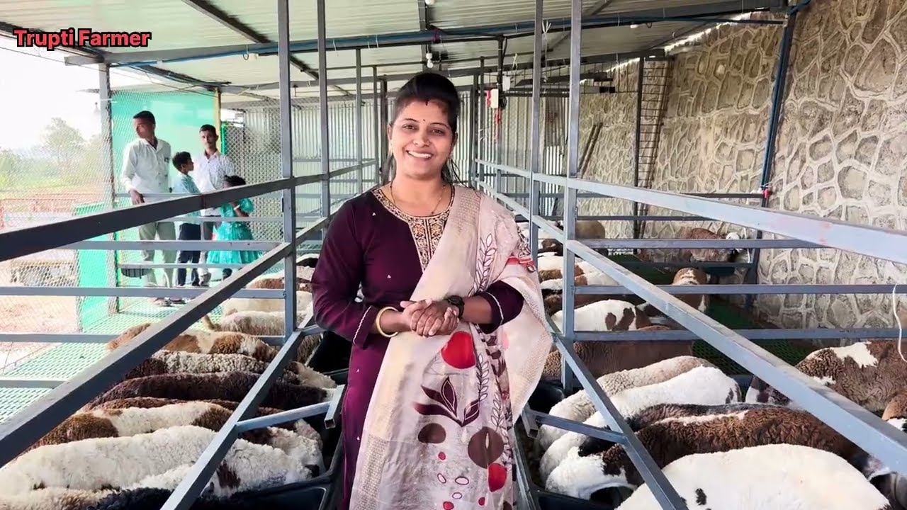 Sheep Farming 🐑🐏विषयी थोडक्यात संपूर्ण माहिती😊 चारा नियोजन,मल-मुत्र व्यवस्थापन इत्यादी 😊🙏🐏🐑
