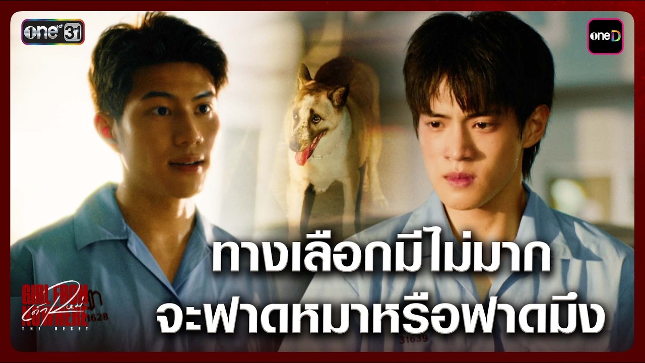 ทางเลือกมีไม่มาก จะฟาดหมาหรือฟาดมึง | Highlight เด็กใหม่ The Reset EP.01 | 7 มี.ค. 69 | one31