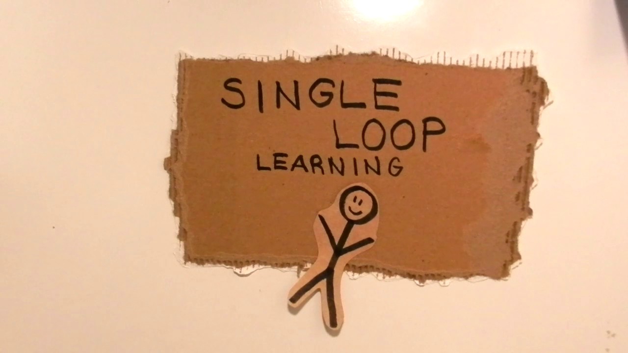 SINGLE & DOUBLE LOOP LEARNING