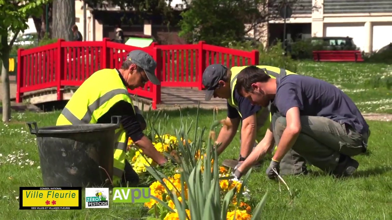 Le service Parcs, Jardins et Espaces Verts