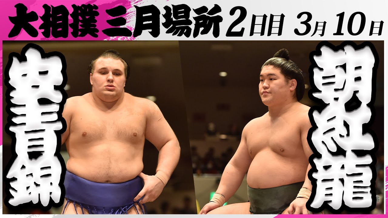 大相撲　安青錦ー朝紅龍＜令和7年三月場所・２日目＞SUMO