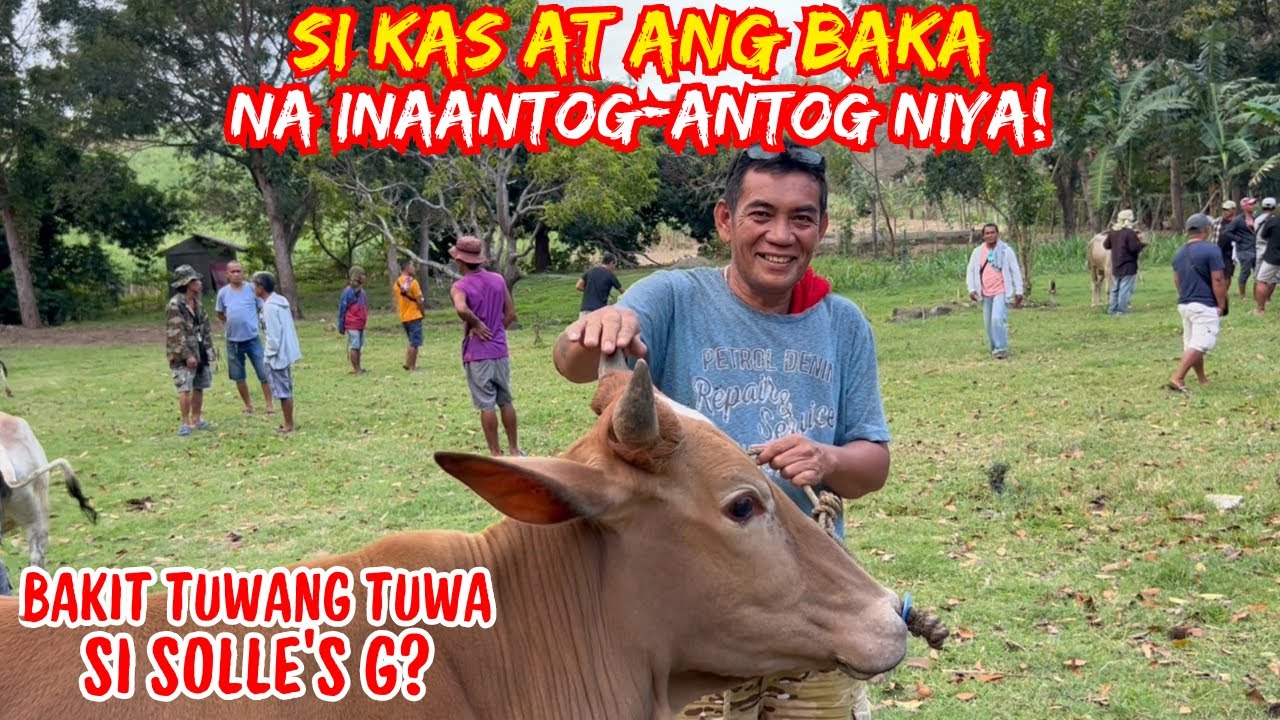 SI KAS AT ANG BAKA NA INAANTOG-ANTOG NIYA! | BAKIT TUWANG TUWA SI SOLLE’S G? | SOLLE'S GANDANG BUHAY