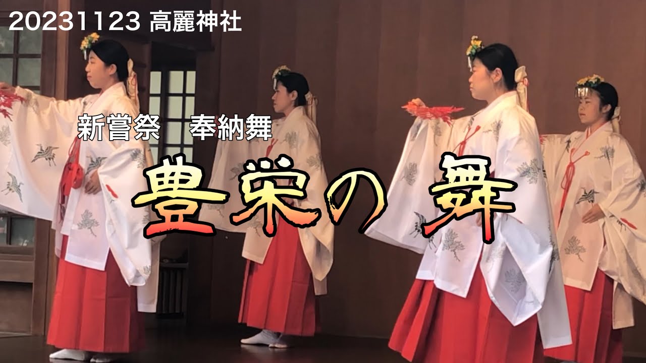 高麗神社　新嘗祭　奉納舞　豊栄の舞　Koma Jinjya shrine Kagura Saitama prefectur 20231123