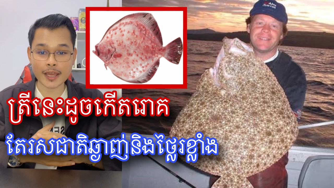 ត្រីនេះមើលទៅដូចកើតរោគតែរសជាតិឆ្ងាញ់សាហាវ l Mr.Veasna