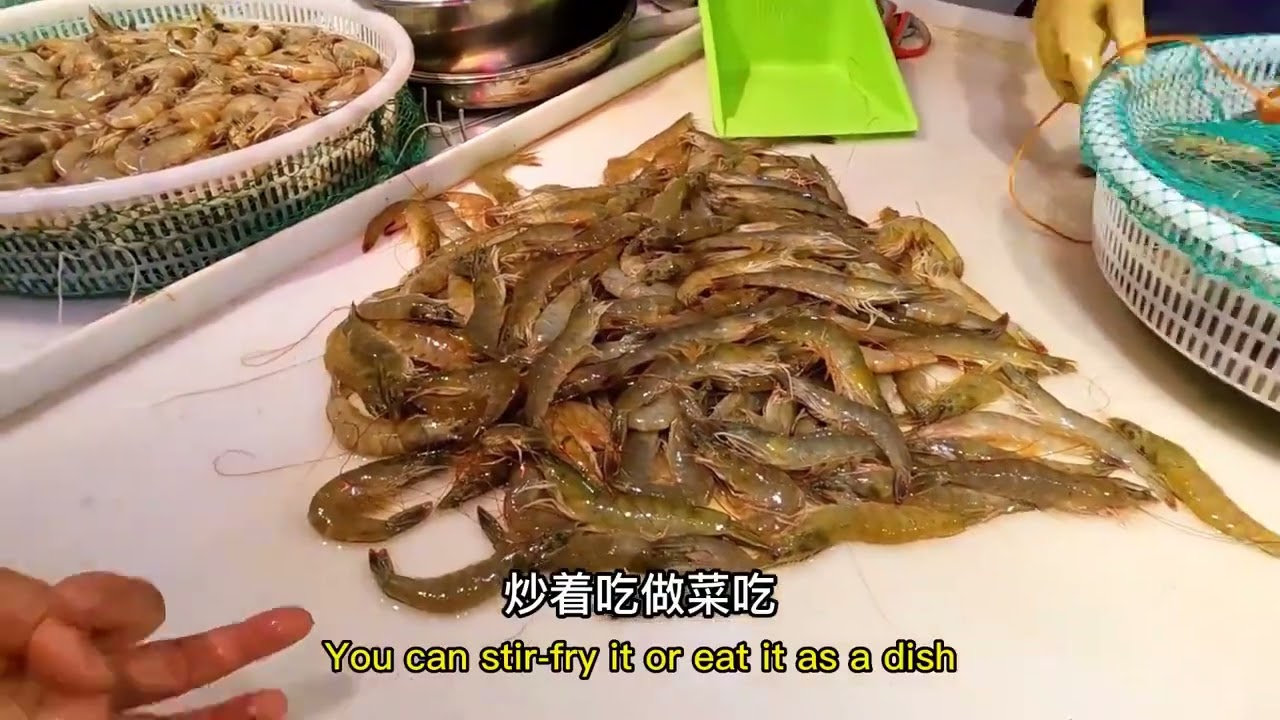 04. The seafood in Dalian 大连海鲜  崔老师带你看大连   东北财经大学   简单中文当导游亚洲学生特色项目团组   汉语桥团组在线体验平台