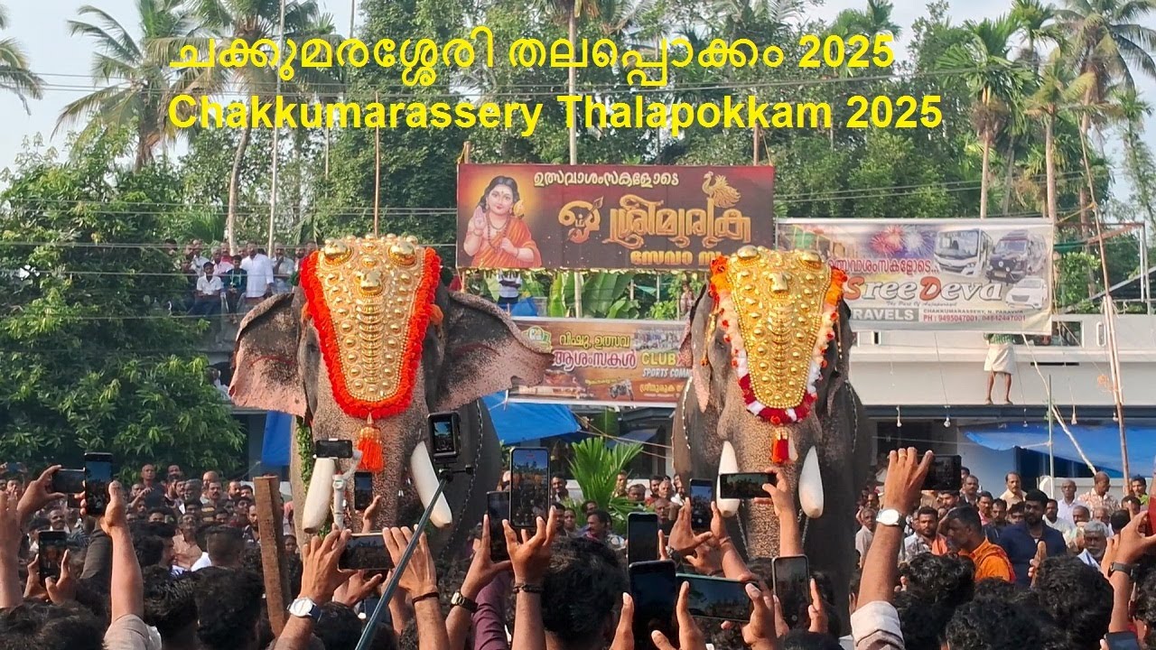 ചക്കുമരശ്ശേരി തലപ്പൊക്കം 2025 | chakkumarassery thalapokkam 2025 | chakkumarassery pooram 2025