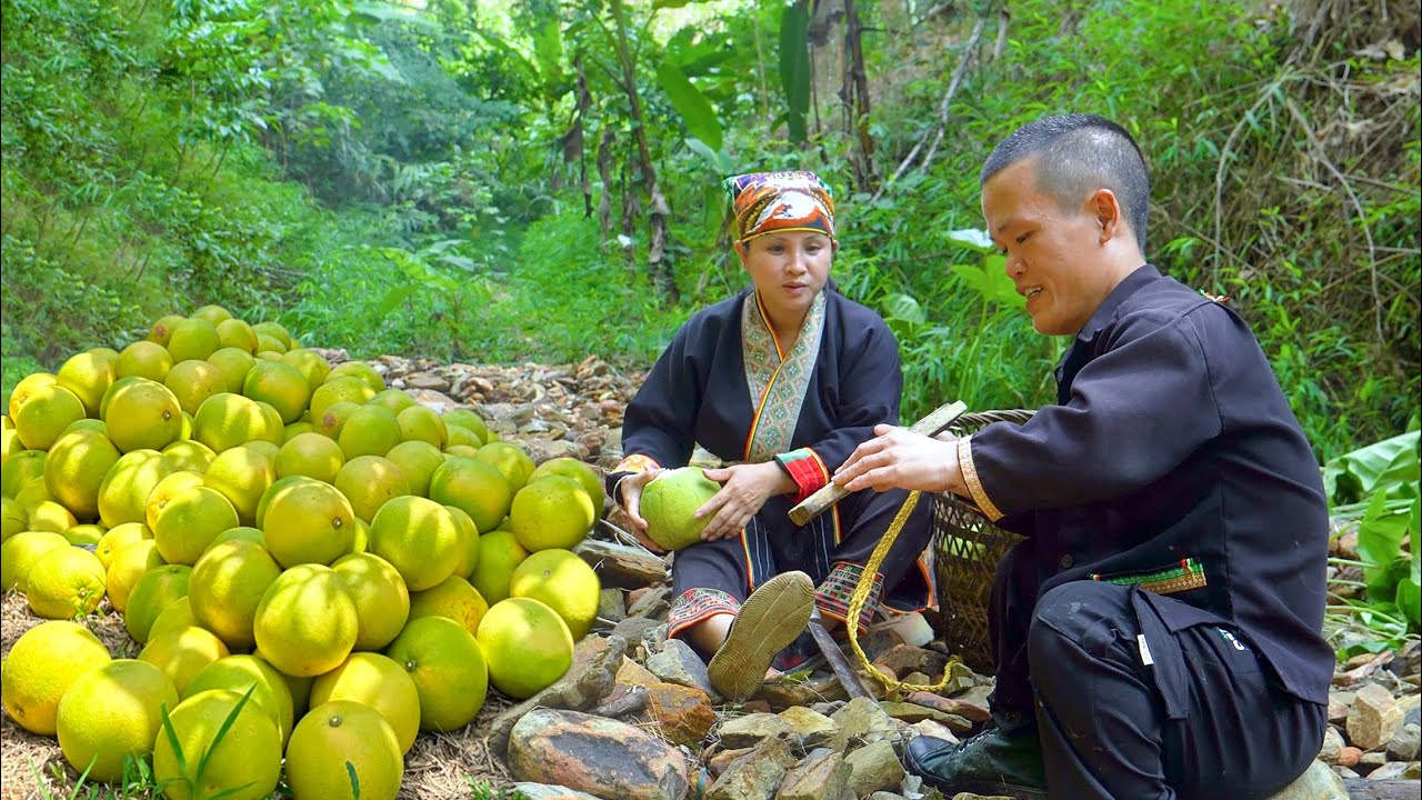 Dwarf Family Harvests Grapefruit and Rescues Trapped Ducks - Life Off the Grid
