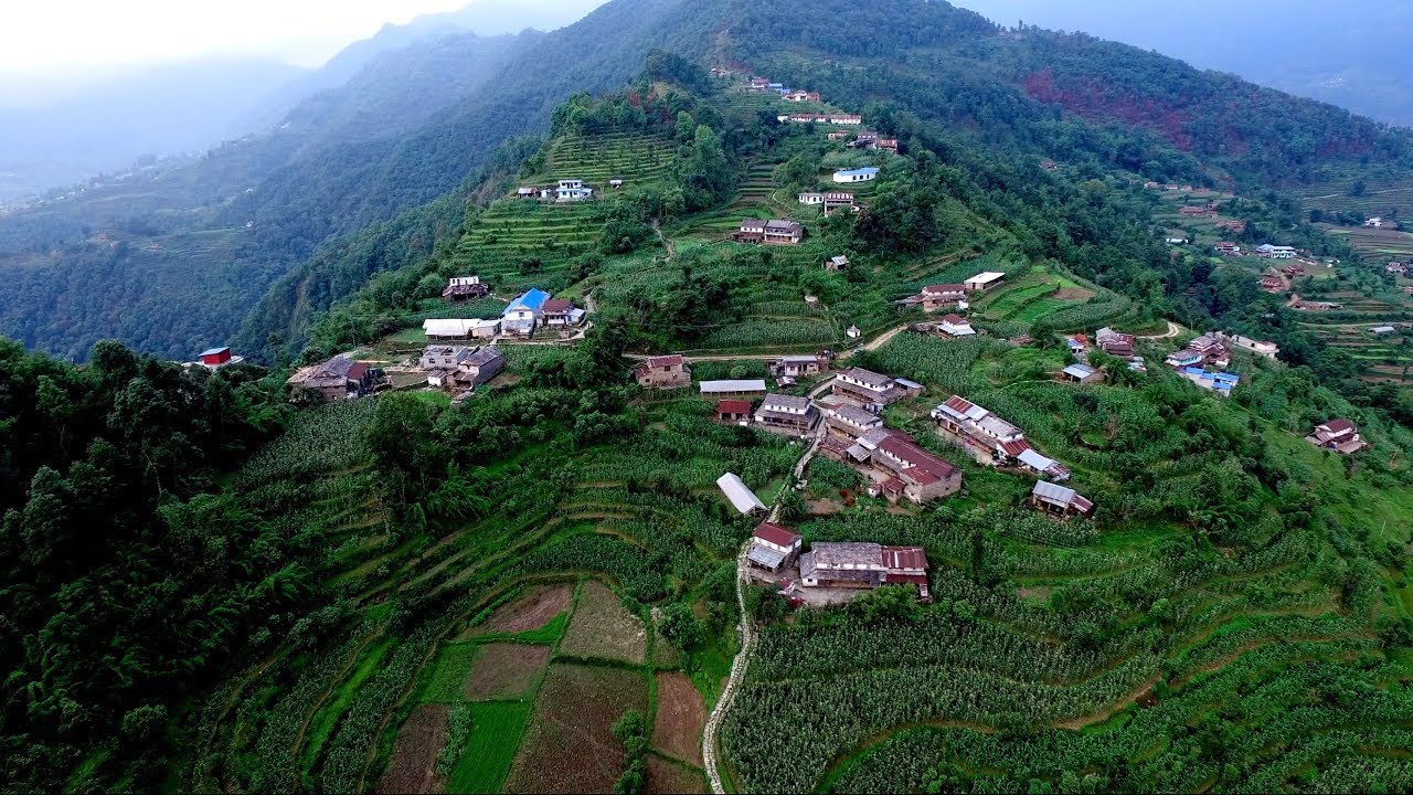 IDEAS For Us - Think Global Act Local