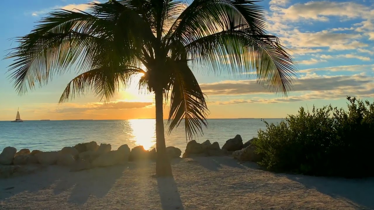 Sunny Beach - Free Stock Footage