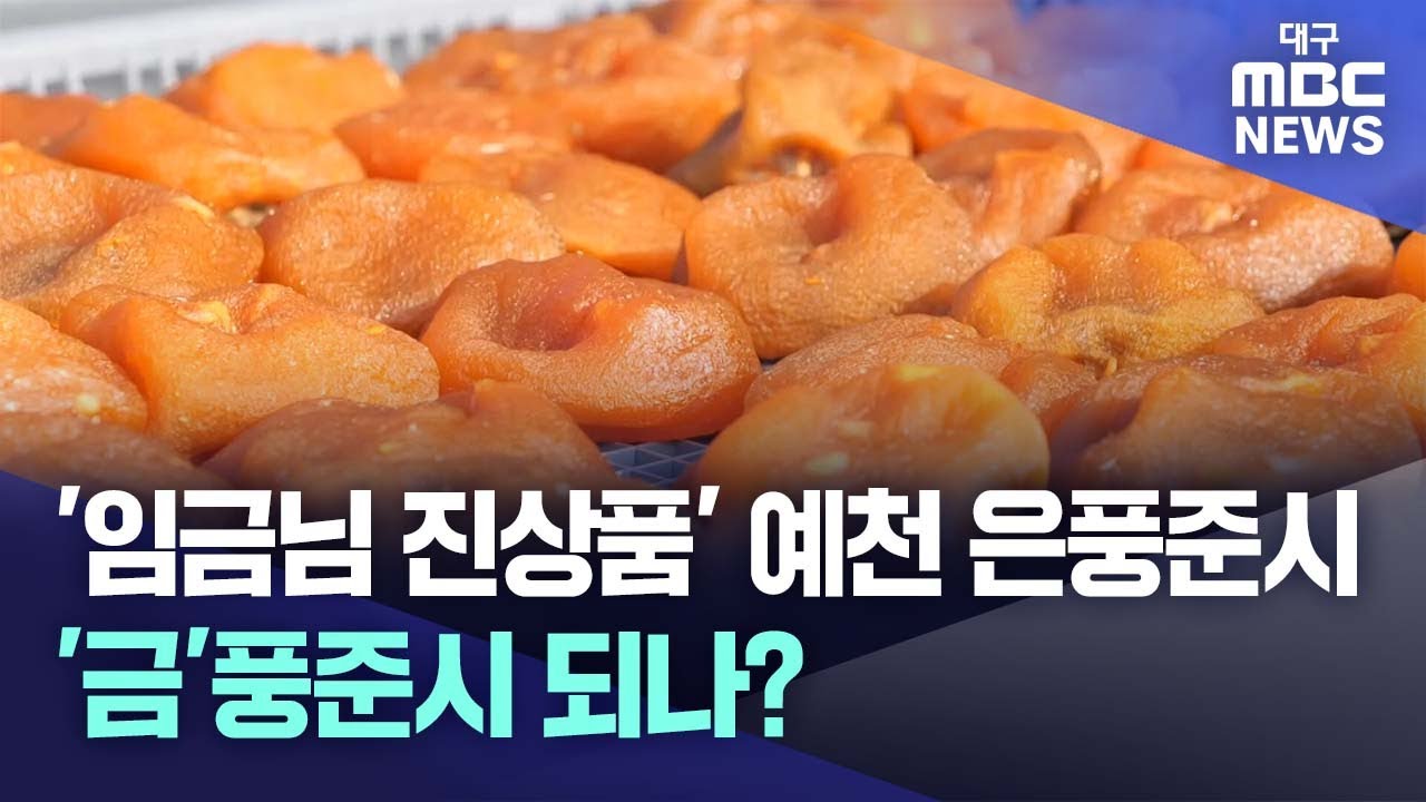 임금님 진상품 예천 은풍준시, '금'풍준시 되나 | 대구MBC뉴스