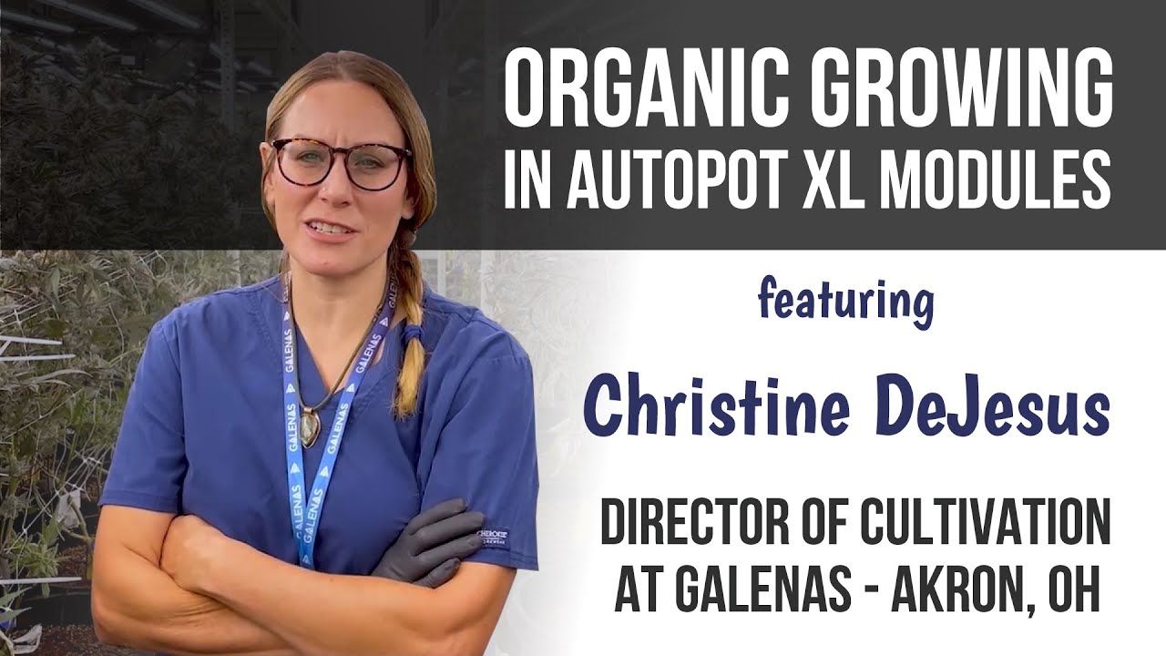 Organic growing in AutoPot XL Modules with Christine Dejesus of Galenas in Akron, Ohio!