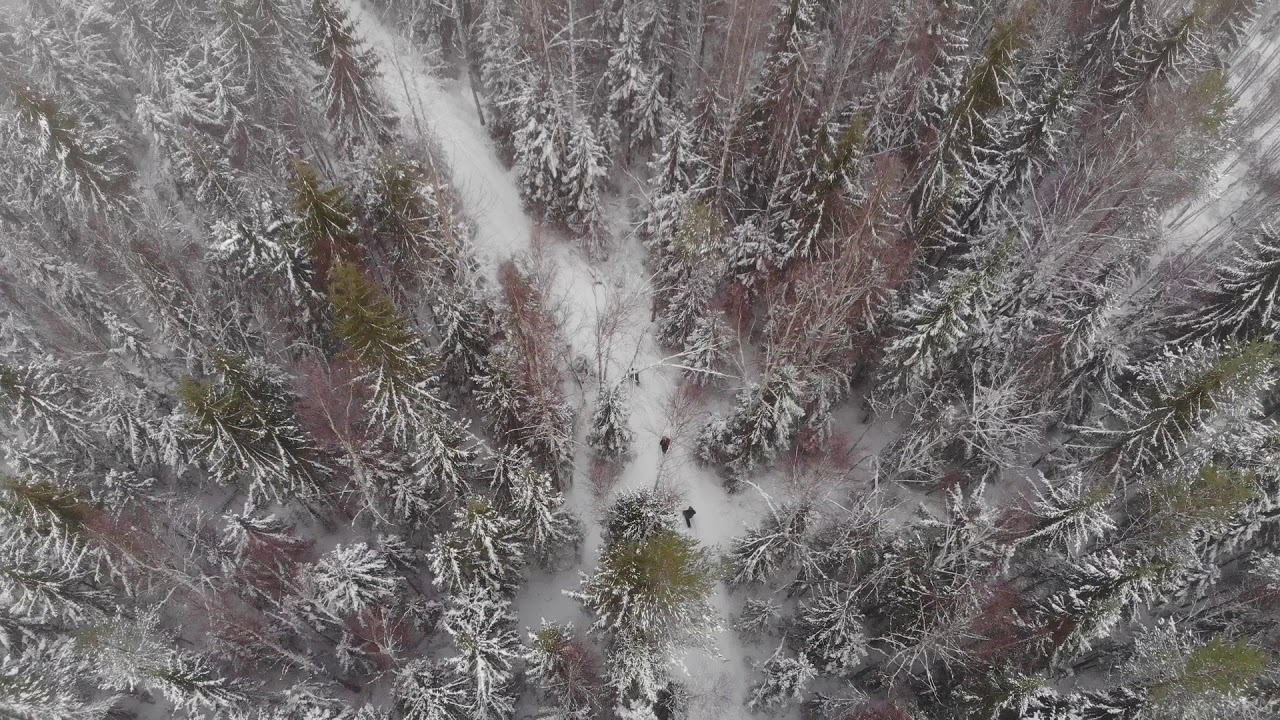 8.2.2020 - Isojärven kansallispuisto, Orivesi