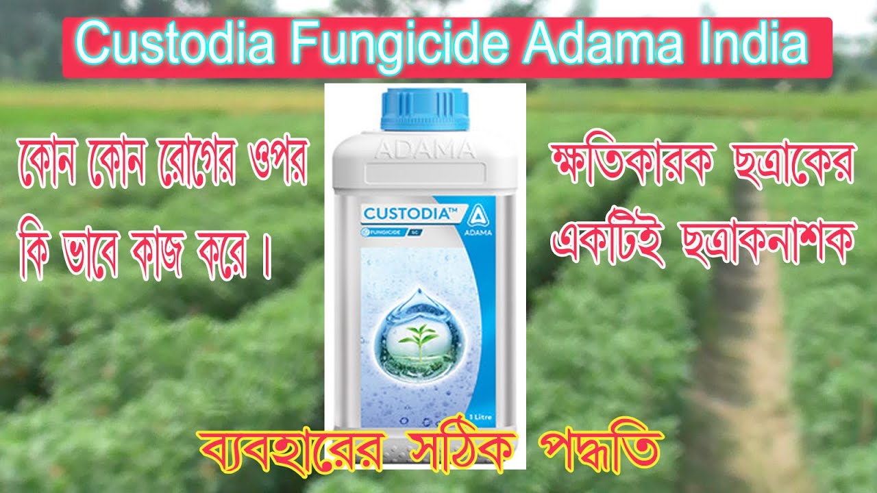 Castodia Fungicide। সকল প্রকার ফসলের ক্ষতিকারক ছত্রাকের একটি ছত্রাকনাশক। কোন কোন রোগের উপরে কাজ করে।