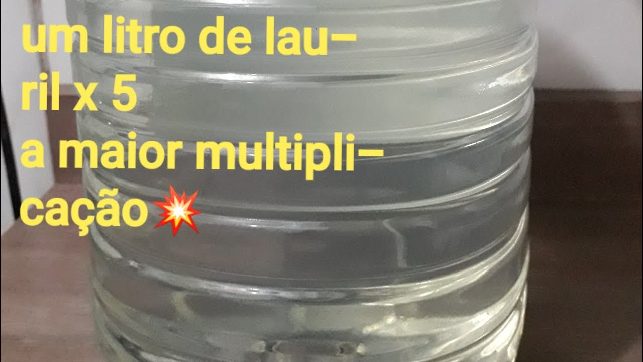 Mega multiplicação de lauril ,a maior do YouTube💗
