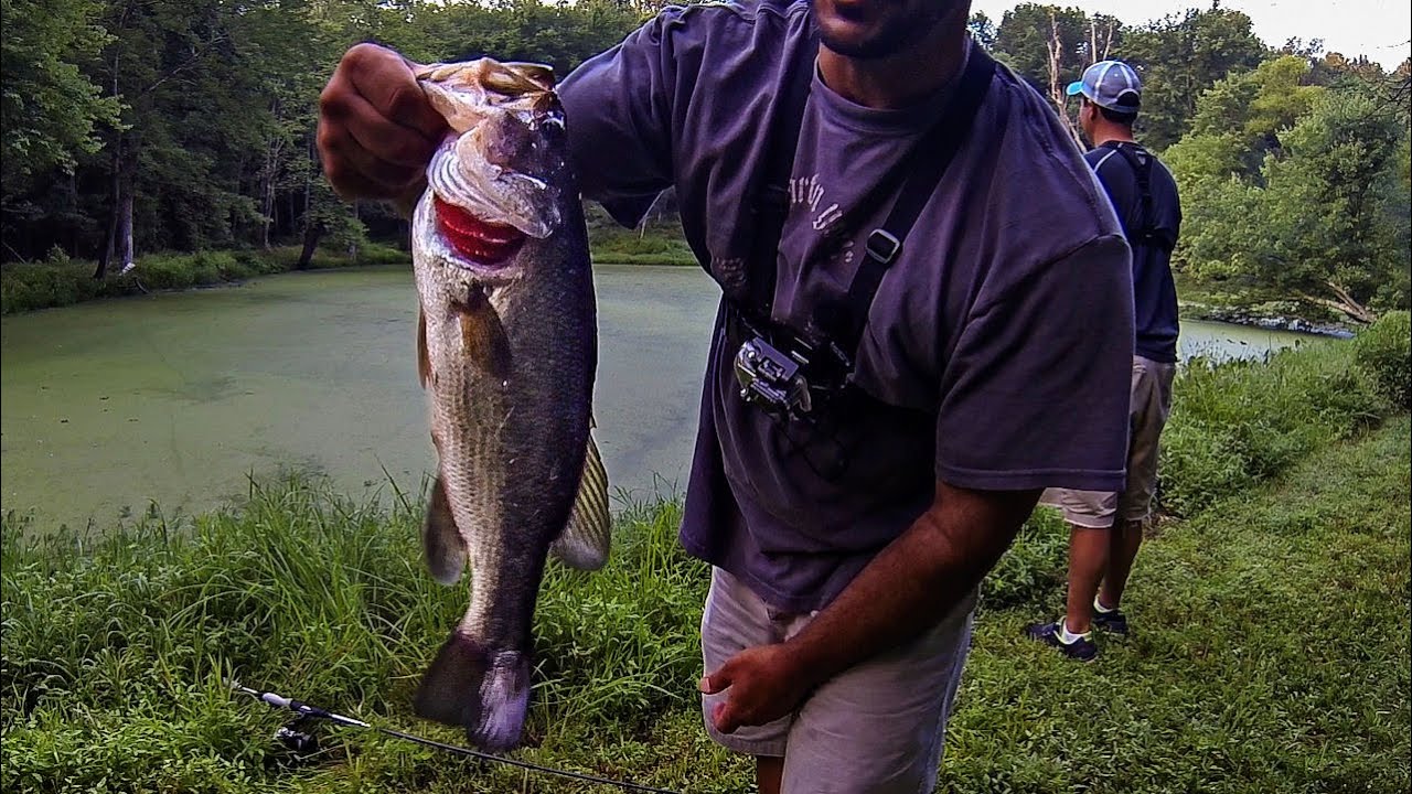 SECRET SCUM POND BASS FISHING ROUND 2!!! (TOPWATER FROG)