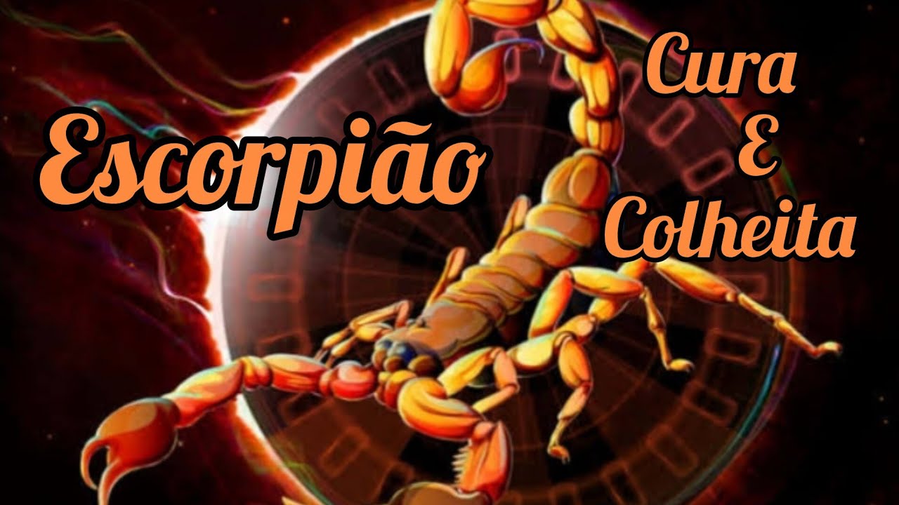 Escorpião 🦂♏ O sol raiou na sua vida trazendo cura colheita e felicidade ...
