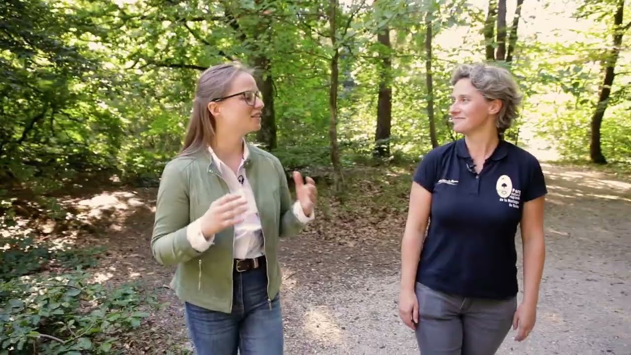 Partez à la découverte du Parc de la Montagne de Reims