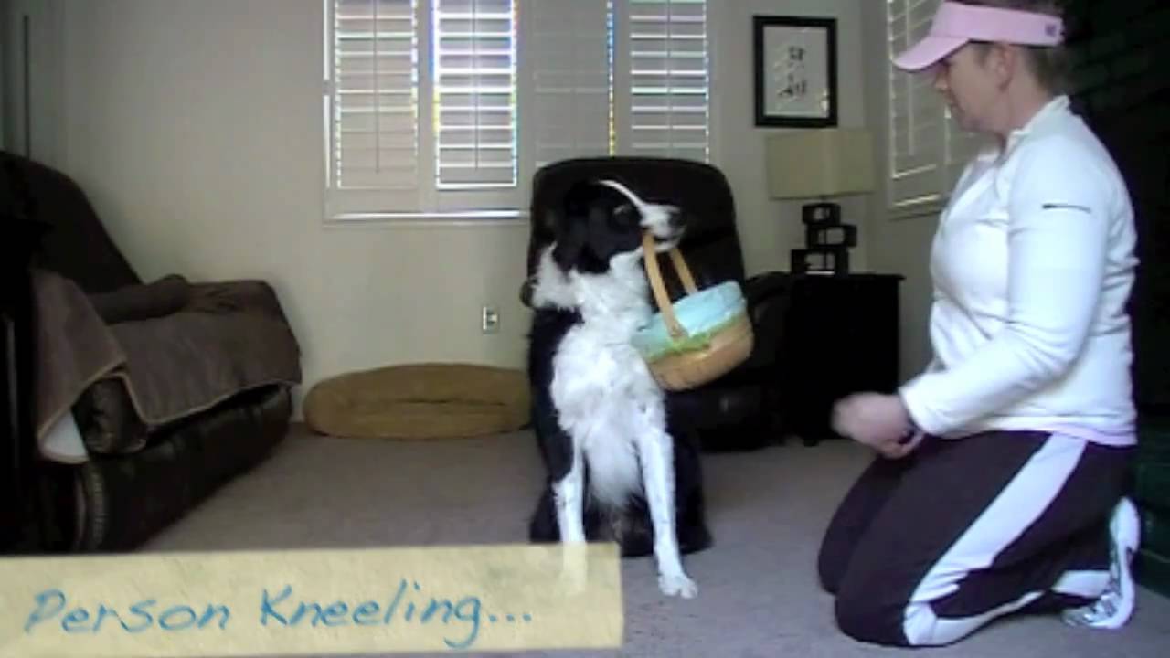 Hold and Carry an Object - Clicker Training 'Dog Training'