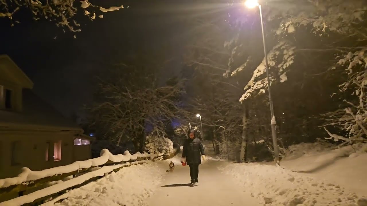 Quiet winter walk in Swedish countryside