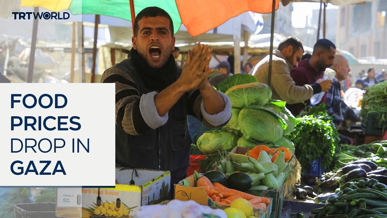 Food becomes more affordable in Gaza after ceasefire deal