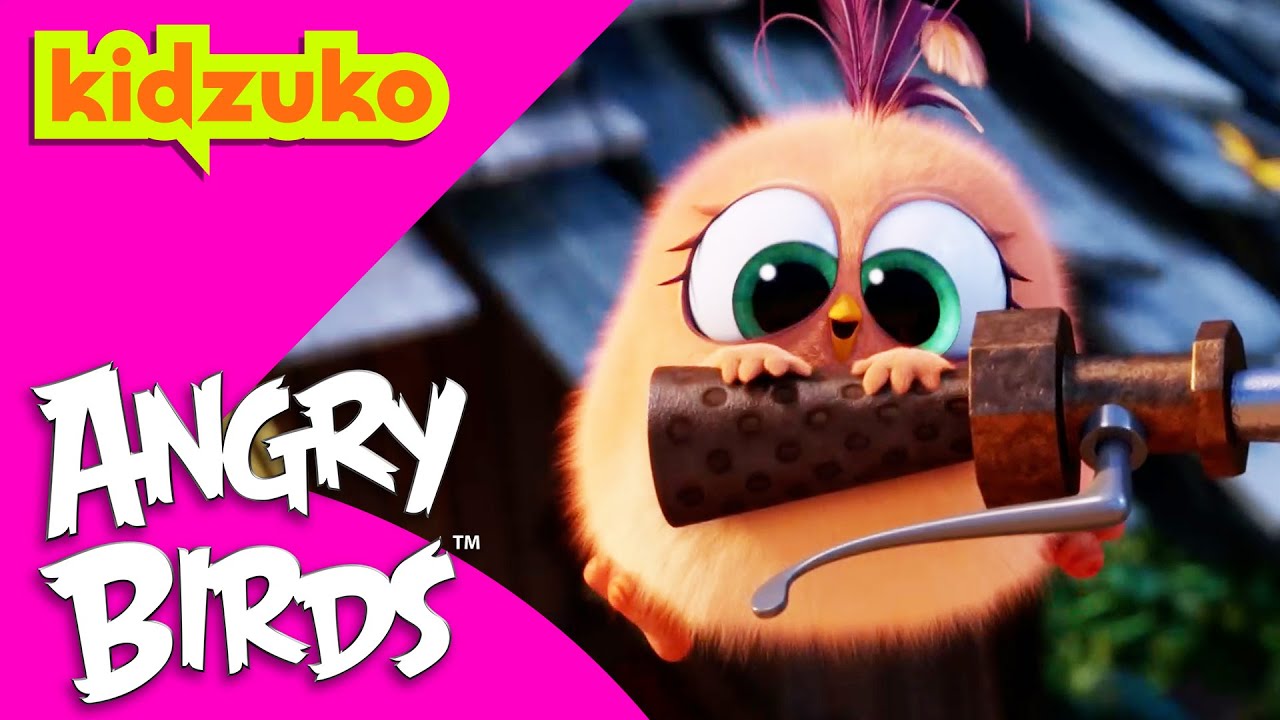 🎒Back to School with the Hatchlings 🐥 | Angry Birds | Compilation | 