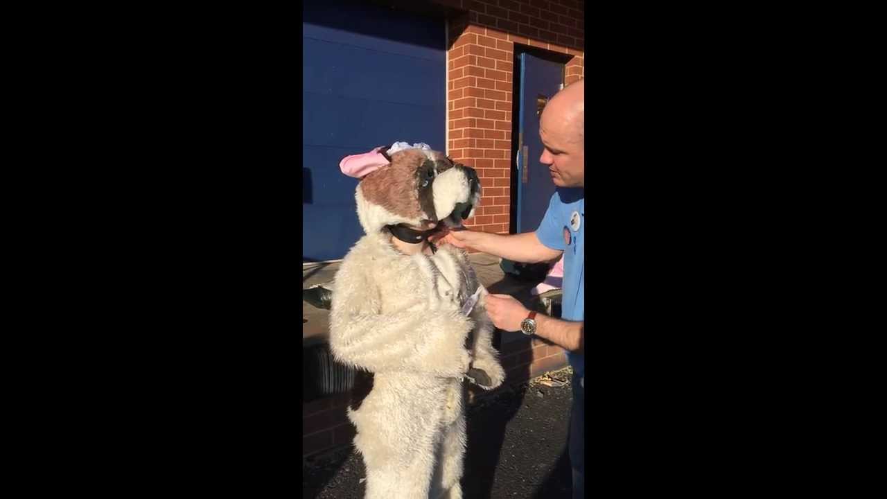How to dress Nana Dog costume http://www.cytfredericksburg.org/programs/COSTUME-RENTALS-9