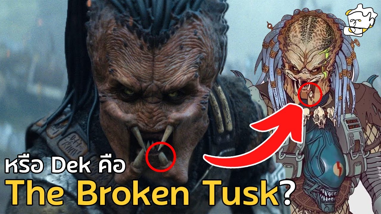 หรือ Dek คือ The “Broken Tusk” Dachande? | The Snapper Guy