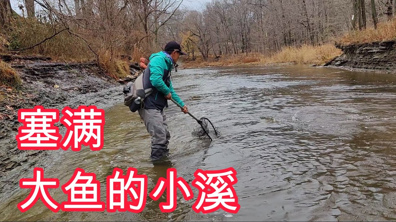 冬爆核桃溪---手杆加珠子钓，紧窄小溪，暴力大鱼