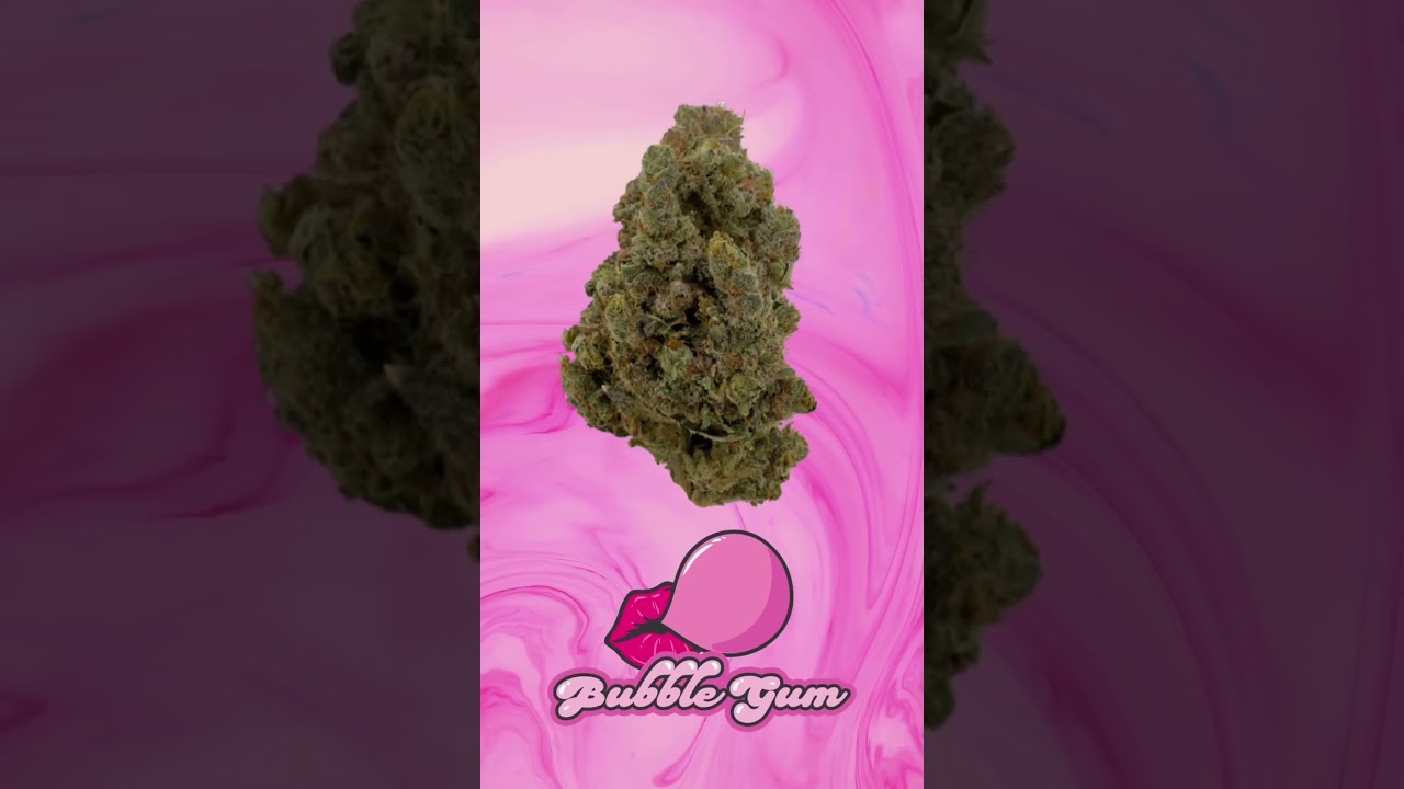 Savor the Sweetness: Bubble Gum is Here! #shorts