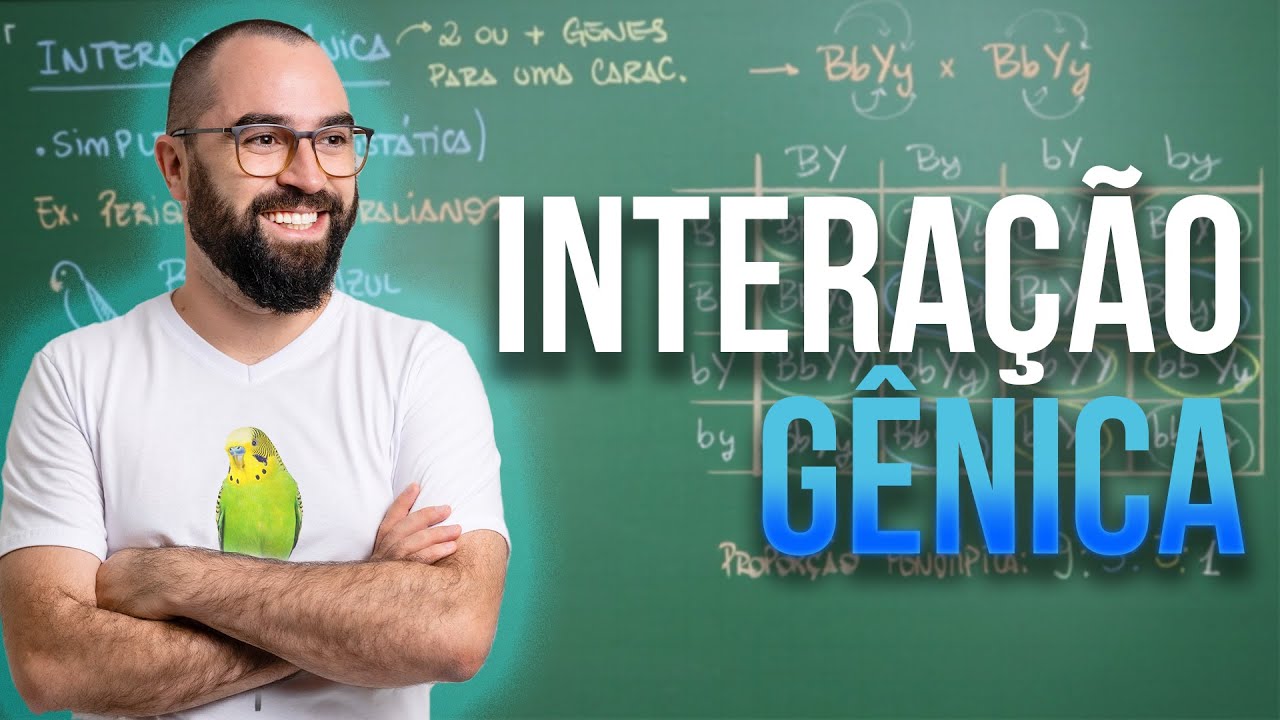 Intera&ccedil;&atilde;o G&ecirc;nica Simples - Aula 11 - M&oacute;dulo 2: Gen&eacute;tica