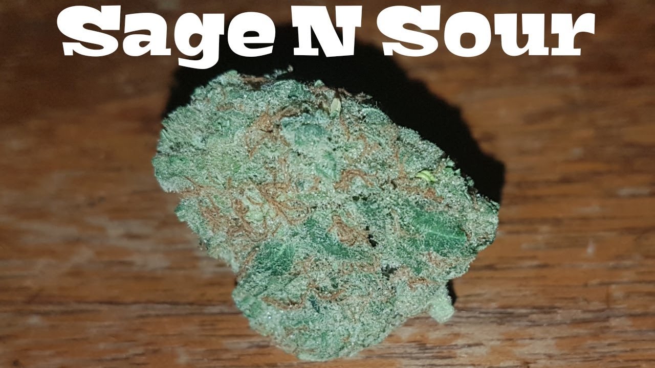 Strain Review - Sage N Sour