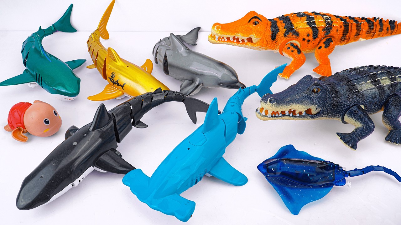 Satisfying With Unboxing ZURU Robo Alive White Shark, Turtle, Ray & Fish Swimming Set | Review Toys
