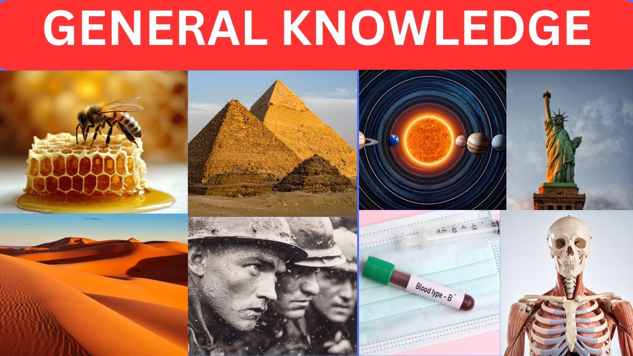 General Knowledge Trivia Quiz! 😎 | 50 Questions EVERYONE Should Know!