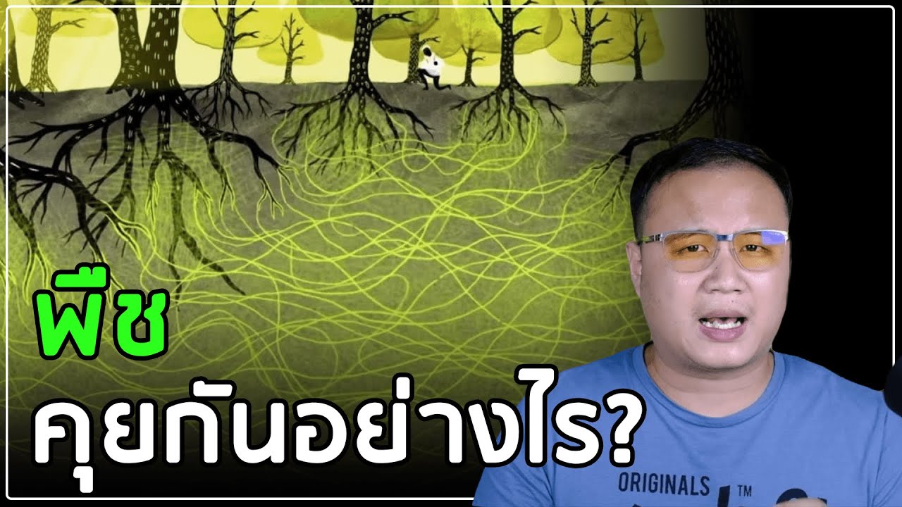 การสื่อสารของพืช (พืชคุยกันอย่างไร?)