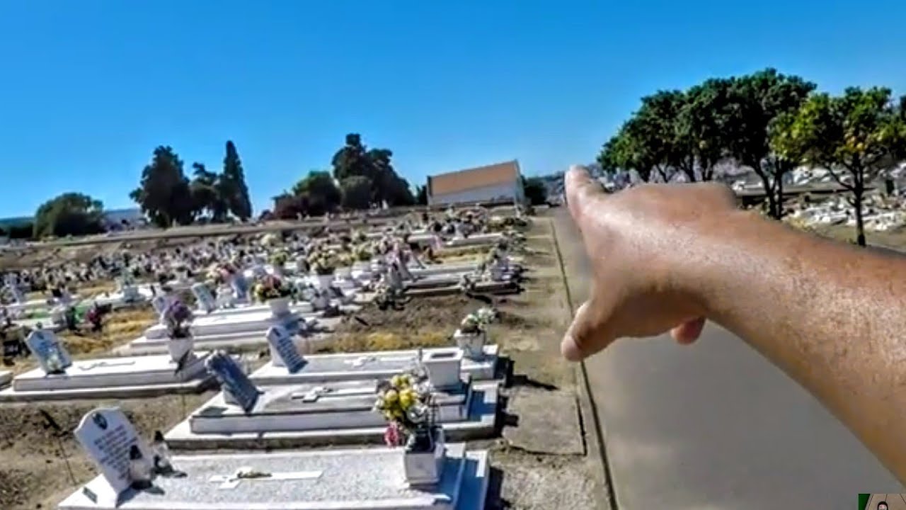 PROVEI DA FRUTA DO CEMITÉRIO!