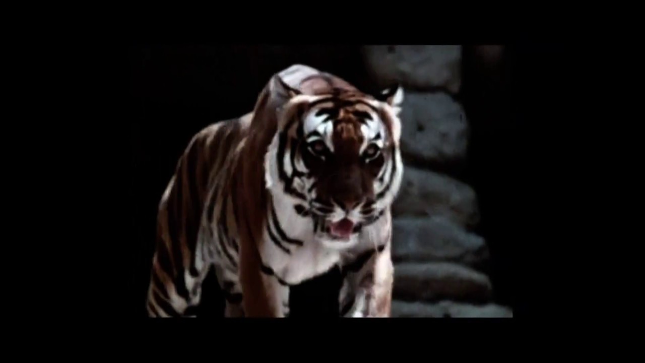 Autechre - We R Are Why (Unofficial Video)