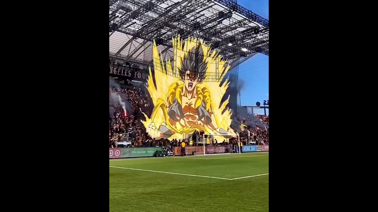Best Fans Performances 🤯