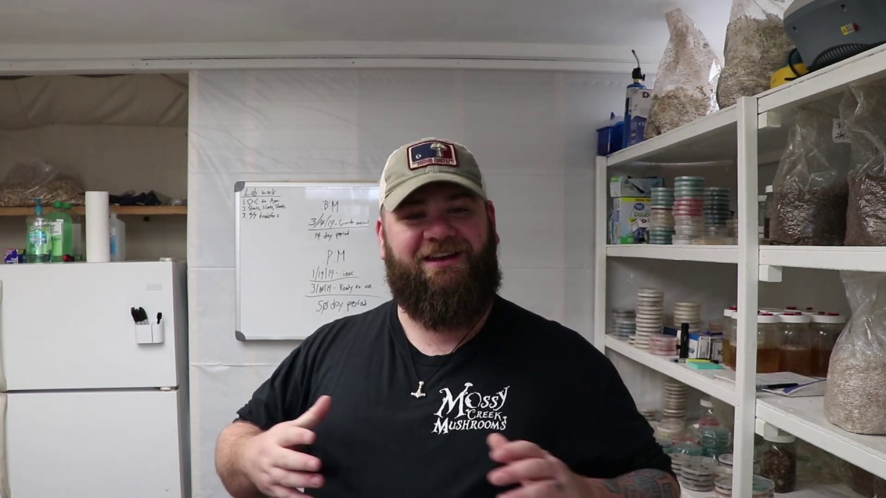 How To Grow Mushrooms: Inoculating Fruiting Blocks