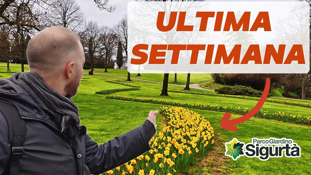 TULIPANOMANIA sta per finire! ecco COME non perderla - Guida al Parco Sigurtà