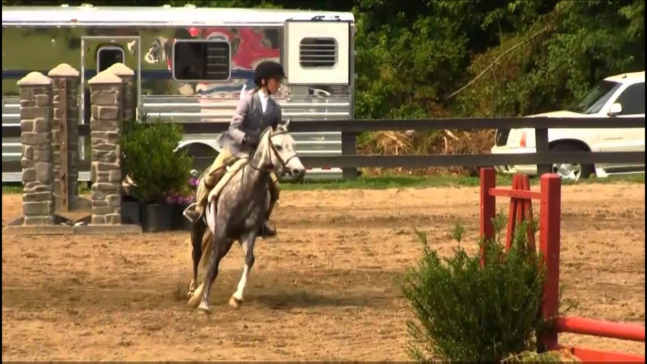 SOLD-Farnley Rosalie- Small Pony Hunter for Sale or Lease