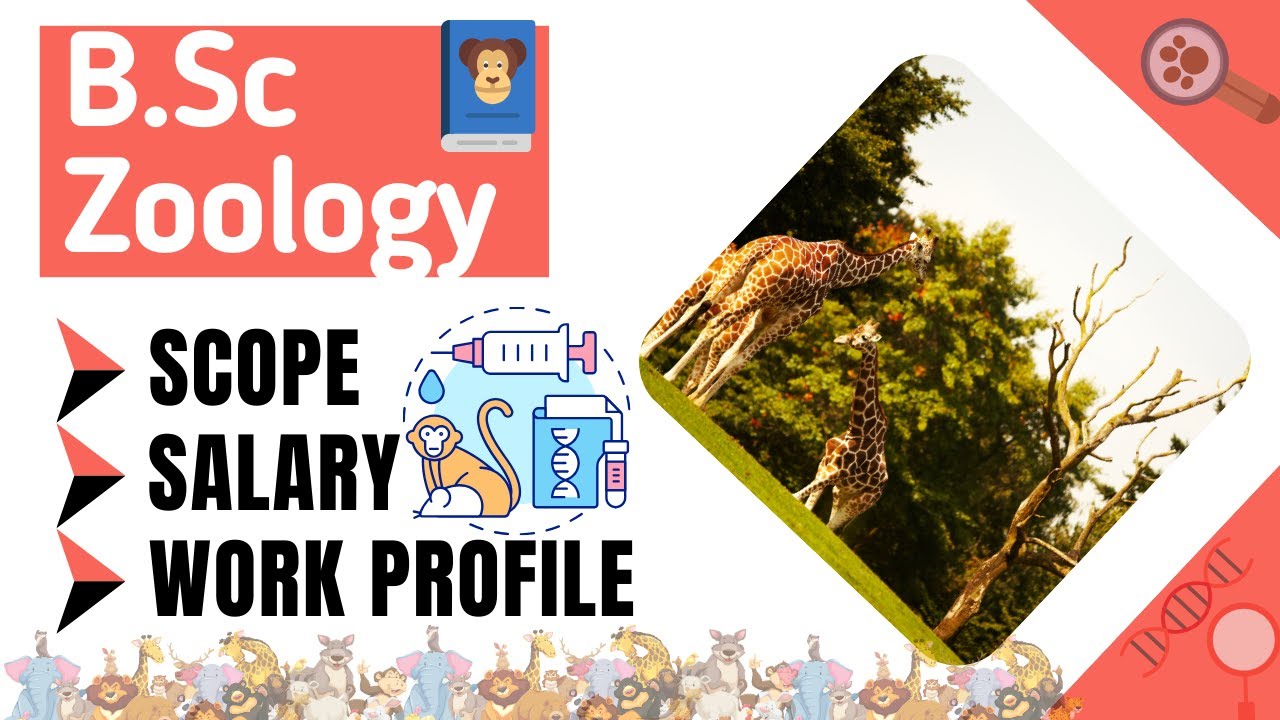 B.Sc. Zoology: Scope, Syllabus, Career Opportunities & Starting Salary