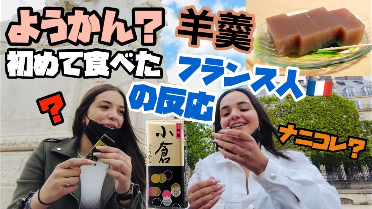 ようかんYokanを生まれて初めて食べたフランス人の反応【海外の反応】