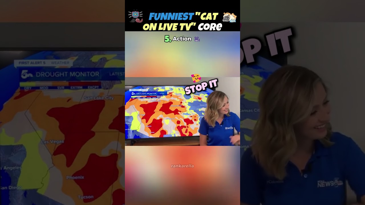 Ranking FUNNIEST 