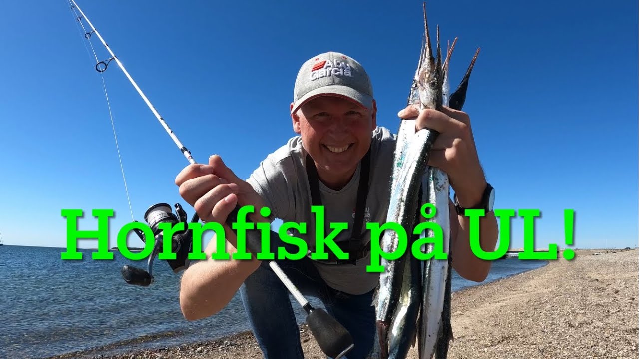 Hornfisk på Ultra-let grej!